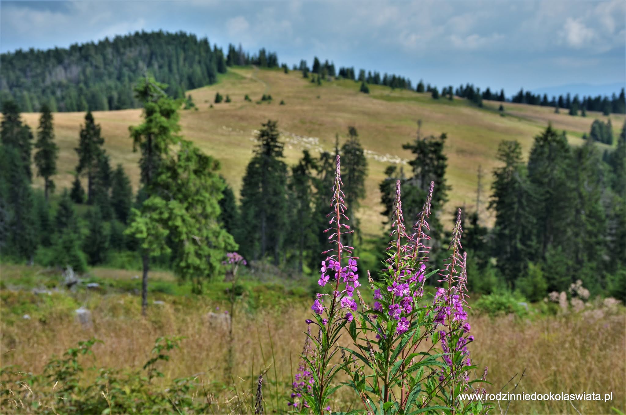 Gorce-z-dziećmi-najpiękniejsze-szlaki