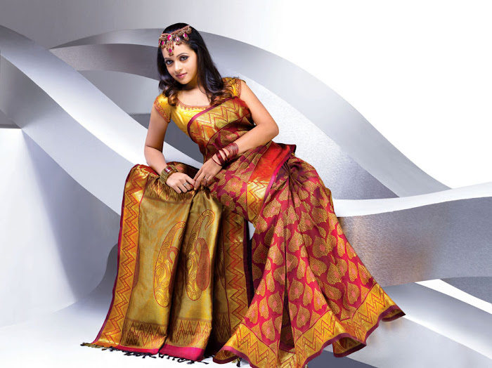 bhavana nwe saree , bhavana glamour  images