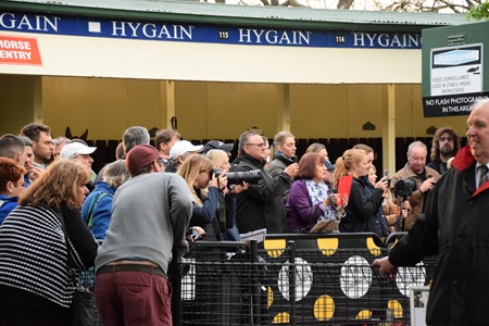 winx crowd 1