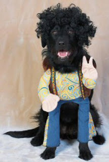 oldies fashion dog costume