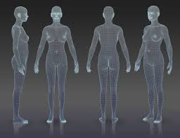 Female body model 3d free | Female Body model 3D
