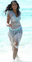 Tollywood Actress Anushka all wet