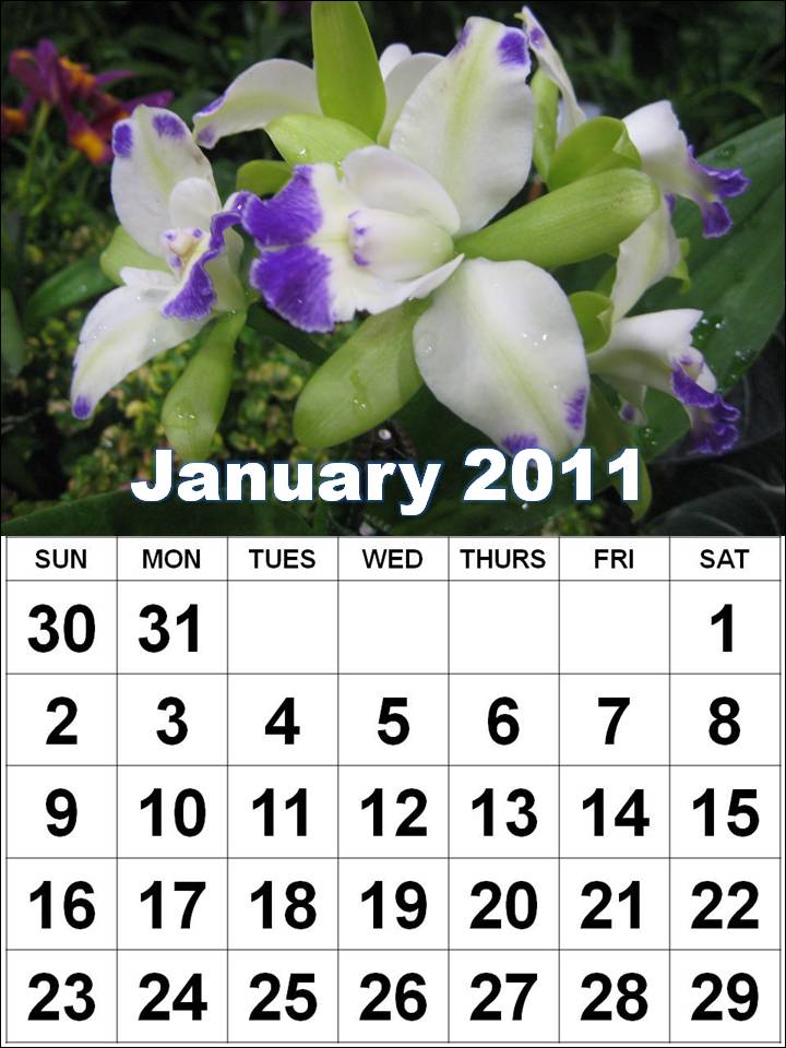 january 2011 calendar planner. january 2011 calendar planner.