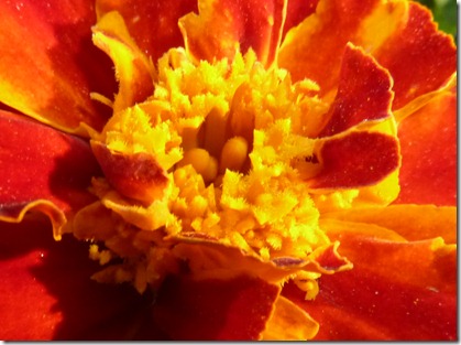 P1020336