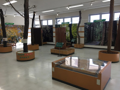 御岳ビジターセンター 2階の展示