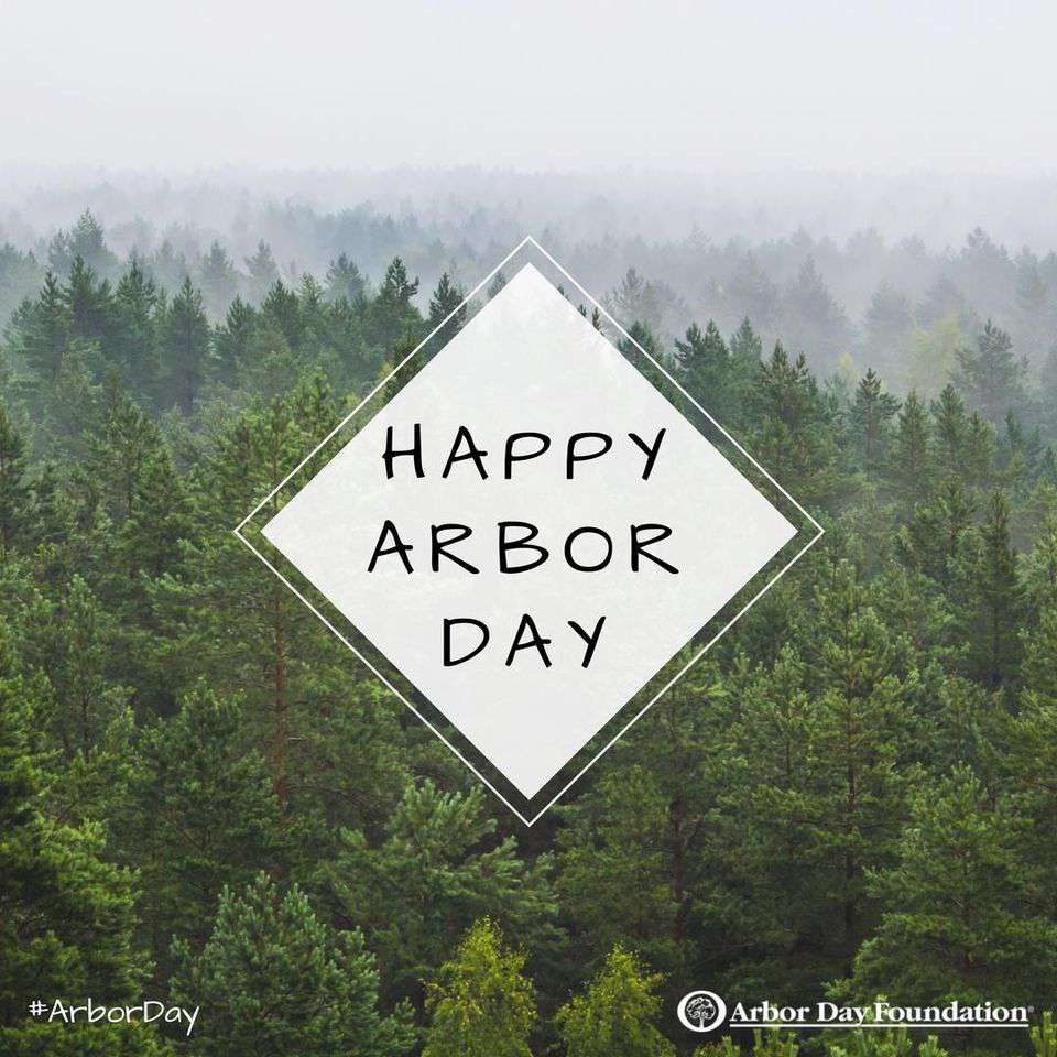 National Arbor Day Wishes Beautiful Image