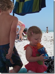 beachfathers day 293