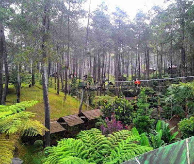 Lokasi Orchid Forest Cikole Lembang Bandung