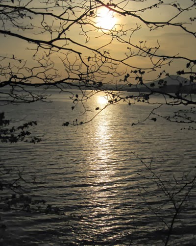 Solar path on the lake