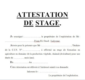 exemple de fiche de lecture d'un roman pdf   10