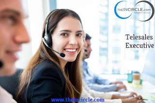 Telesales Executive