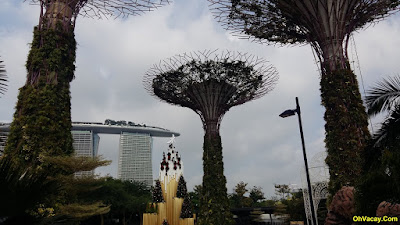 Gardens by the bay