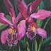 Orchids - still life