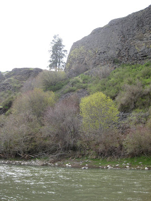 idaho river