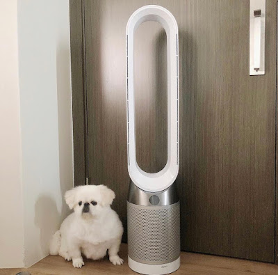 Quạt không cánh và lọc khí Dyson TP04-WS- nhập khẩu chính hãng | dienmayQAP.com