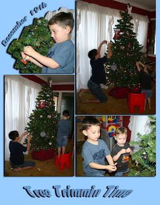Christmas Tree 2006