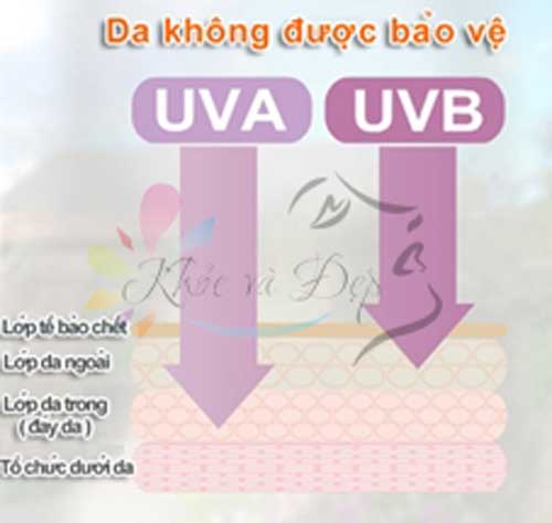 Tia UVA và tia UVB có nguy hại gì cho da bạn