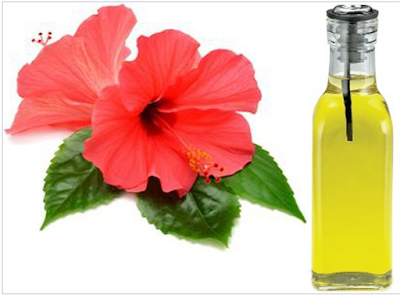 Hibiscus flower with coconut oil for hair growth - HOmeremerediestipsideas