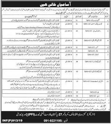 Pakistan Forest Institute (PFI) Peshawar Jobs 2019 | 35 Vacancies |