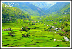 hapao+rice+terraces+Ifugao.jpg