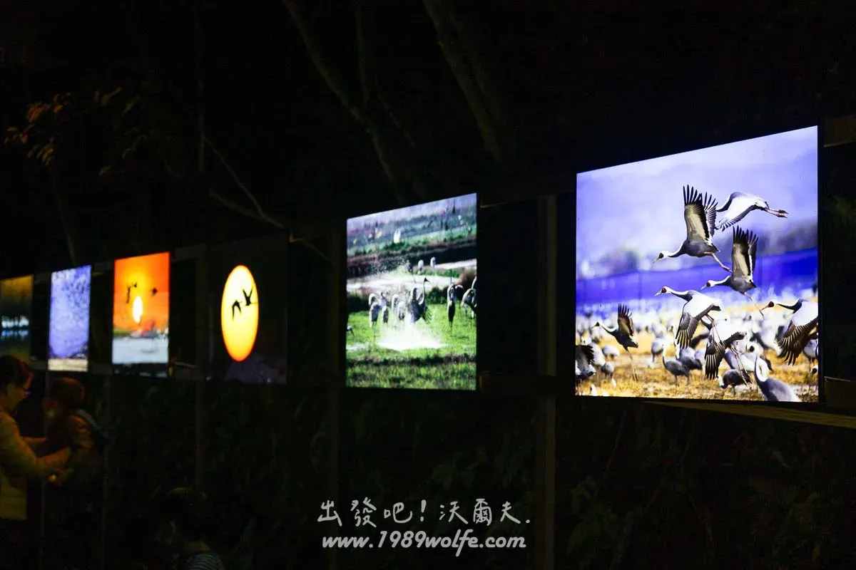 2024 埔里森林逐燈祭 Lantern Festival in Puli