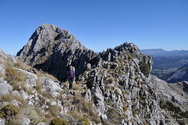 Crestería Sierra del Pinar