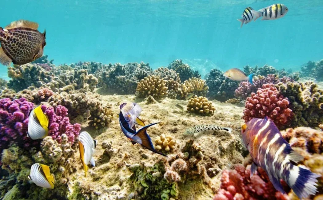 Great Barrier Reef