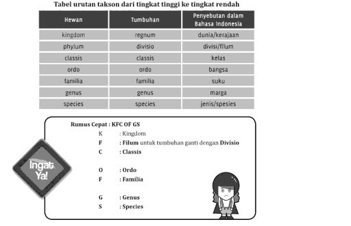 ANATOMI TUMBUHAN: Contoh Keanekaragaman Hayati dan Sistem 