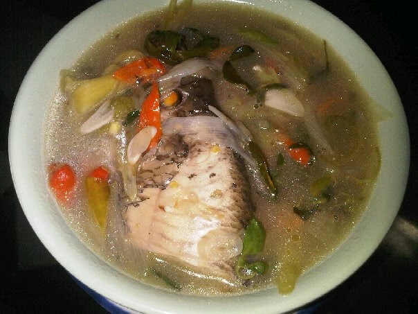 Resepi Sup Ikan Merah Untuk Kanak-kanak - Surat Rasmi Q