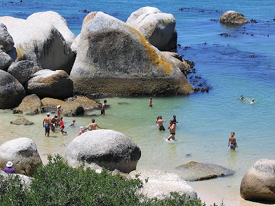 Boulders Beach Capetown Wallpapers