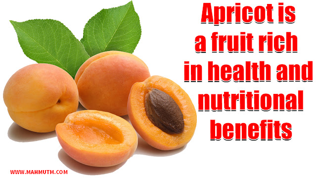 Apricot is a fruit rich in health and nutritional benefits