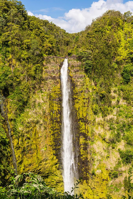 Akaka Falls Park