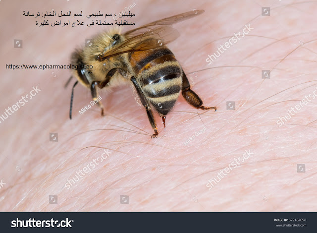ميليتين ، سم طبيعي  لسم النحل الخام: ترسانة مستقبلية محتملة في علاج امراض كثيرة