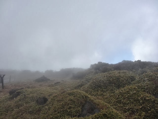 DSC06522
