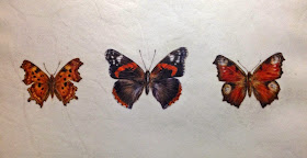 British Butterfly painting