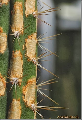 10_DSC8852x1