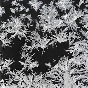 Frost from Polar Vortex by Jeanne Selep