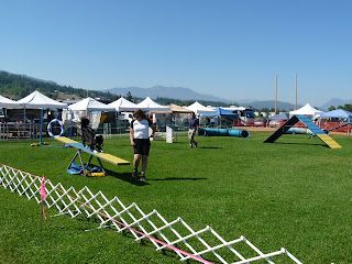 Dog show in Sequim