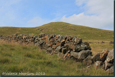 33-wall