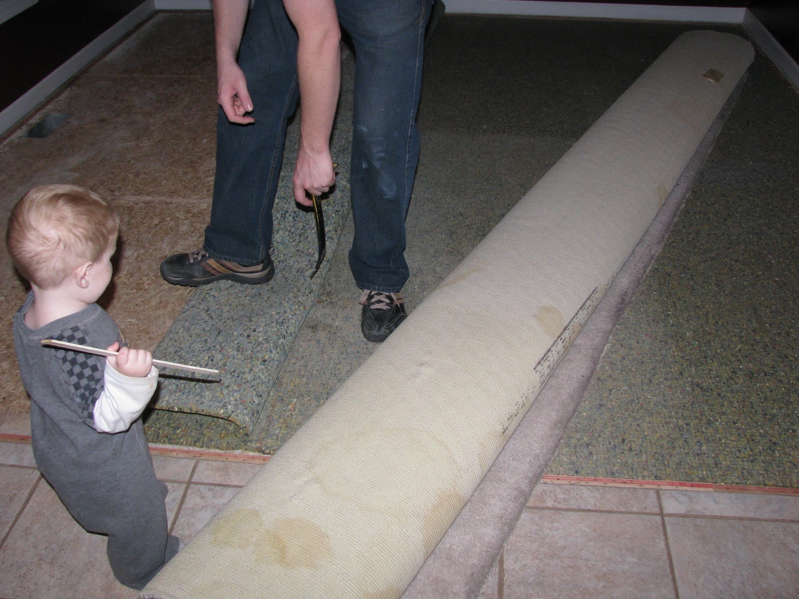 Pulling Up Carpet