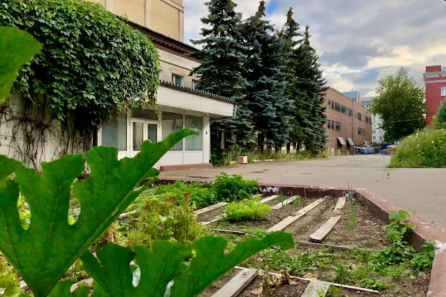 бывший Московский хладокомбинат № 9, огород около административного здания