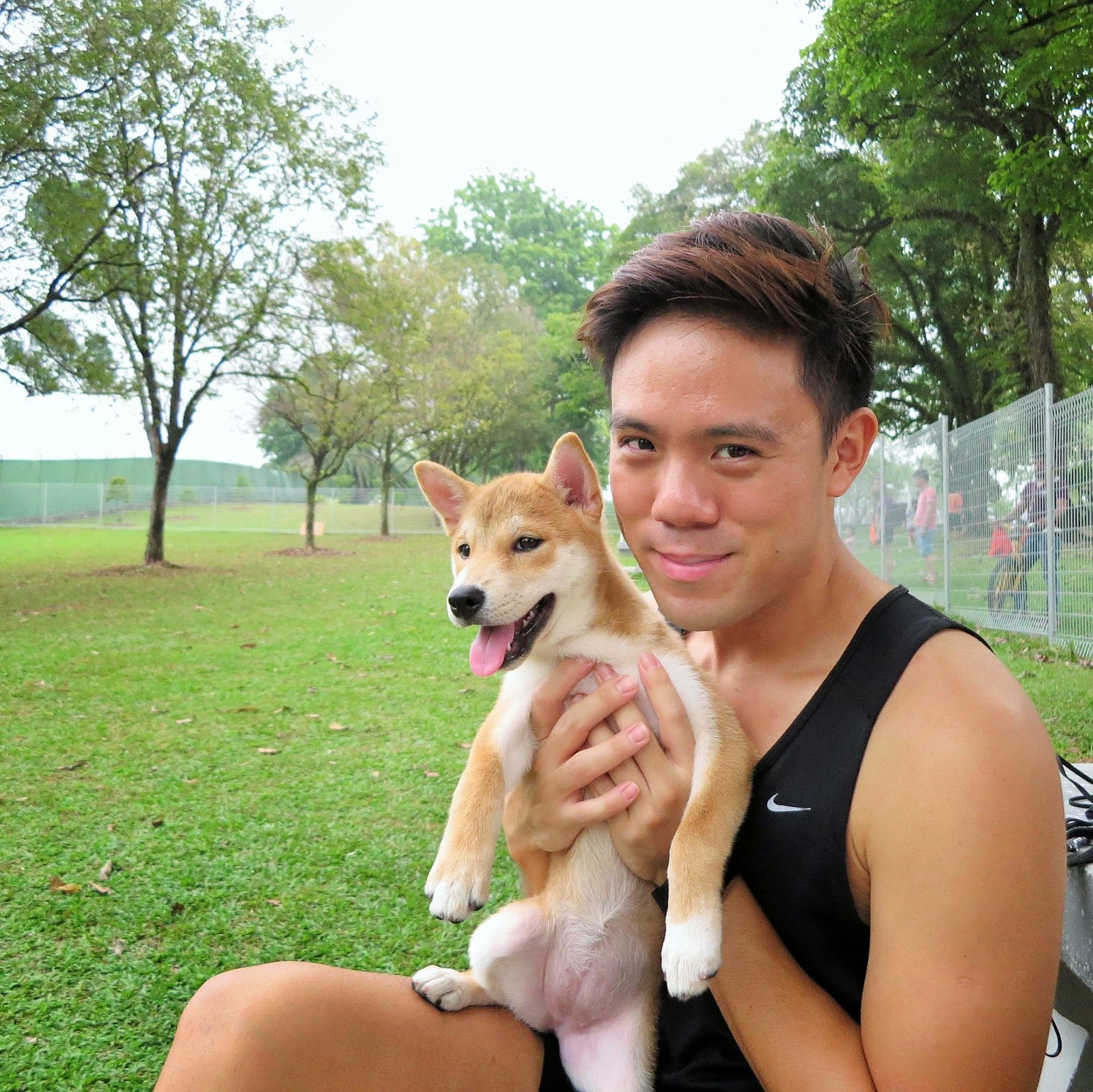 Thewongdogs