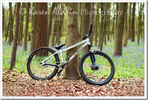 IMG_5183 copy