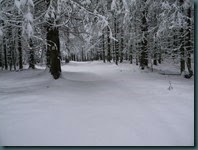 DSCN0701