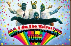 magicalwalrus