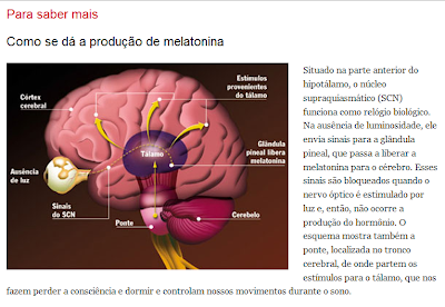 Resultado de imagem para melatonina