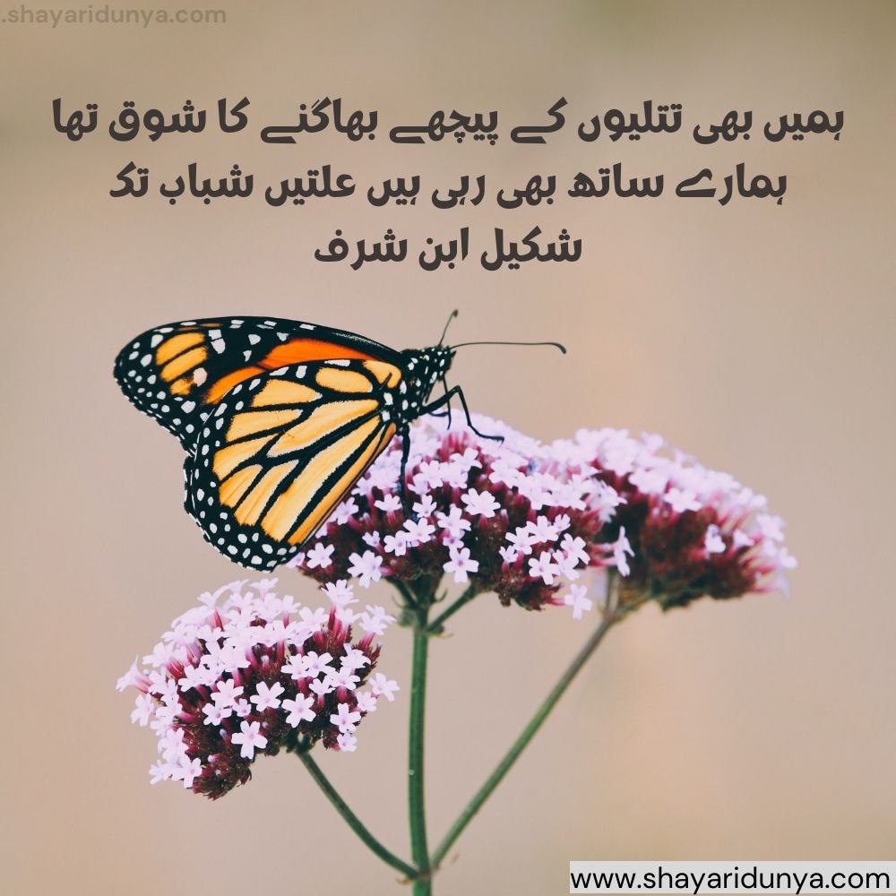 titli shayari in urdu | Butterfly Shayari | butterfly quotes | titli shayari in urdu  | titli quotes in urdu