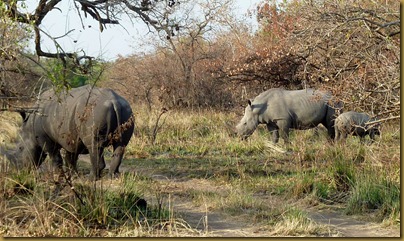 Ziwa, Murchison Falls trip 097