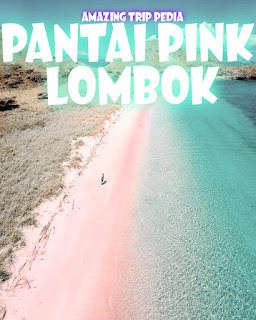 Area Sekitar Pantai Pink Lombok Nusa Tenggara Barat