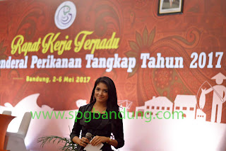 agency mc bandung, agency spg event bandung, wahana agency, agency master of ceremony bandung